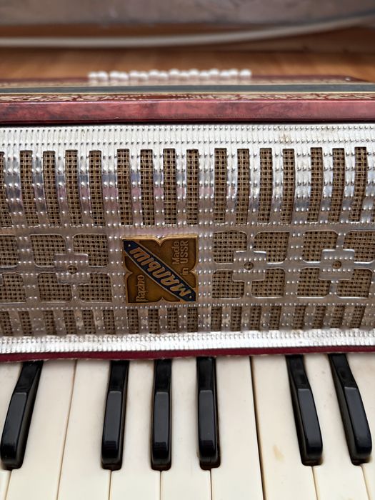 Acordeon Malysh de adolescenți !