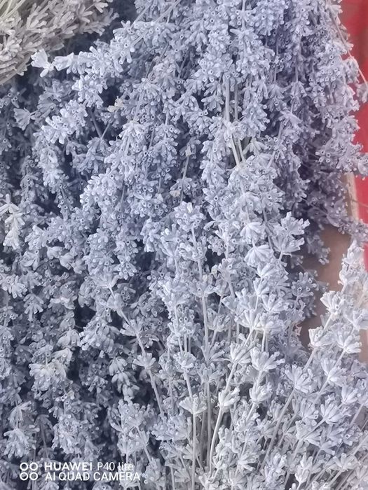 Lavandă bio buchete și săculeți