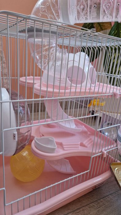 Клетка в отличном состоянии