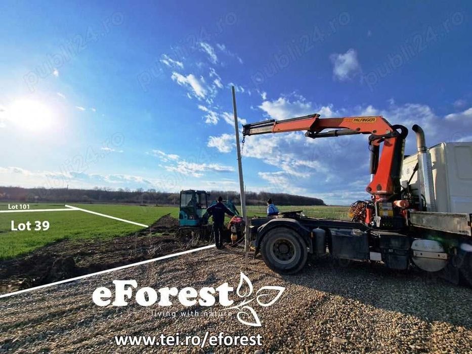 eForest, Loturi la lizieră cu pădurea, acces din DN1A, după Buftea