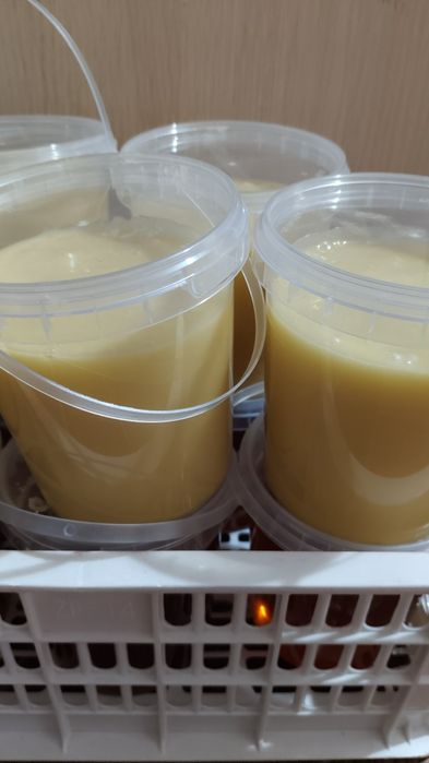 Мёд из Усть-Камаменогорска