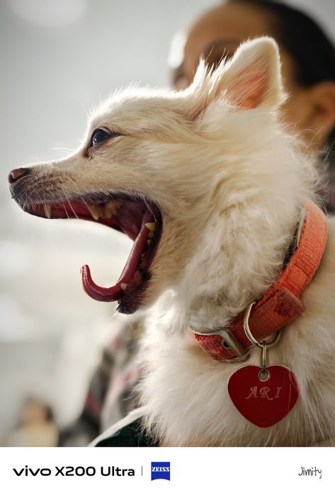 Продавам Vivo X200 Ultra