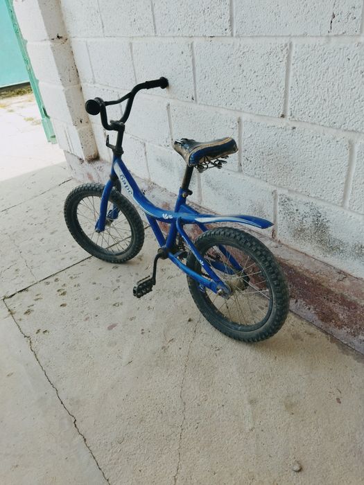 Велосипед домашний