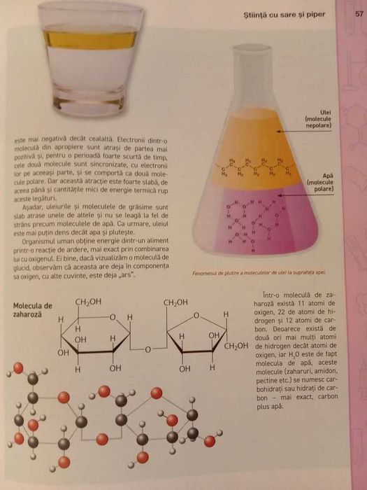 Stiina cu sare si piper (Prof. Dr. Dan Vodnar)