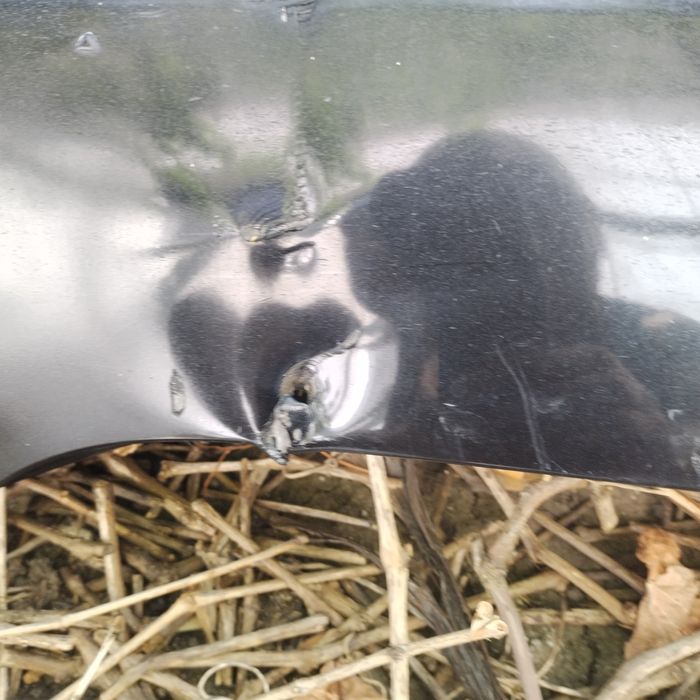 Прагове за бмв е60 левия е с забелешка