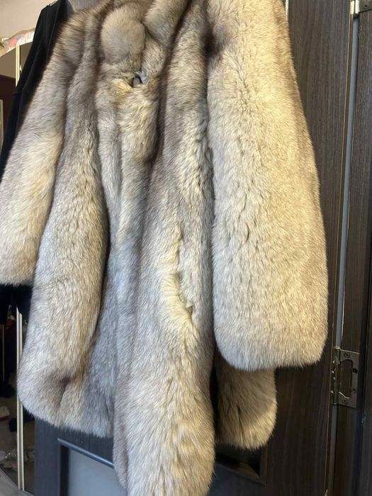 Haina de blana vulpe polara