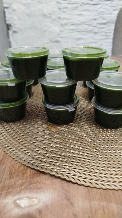 Витграсс (сок из ростков пшеницы )