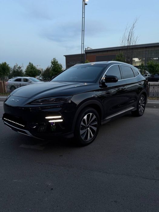 BYD chimpiyon xolati zor