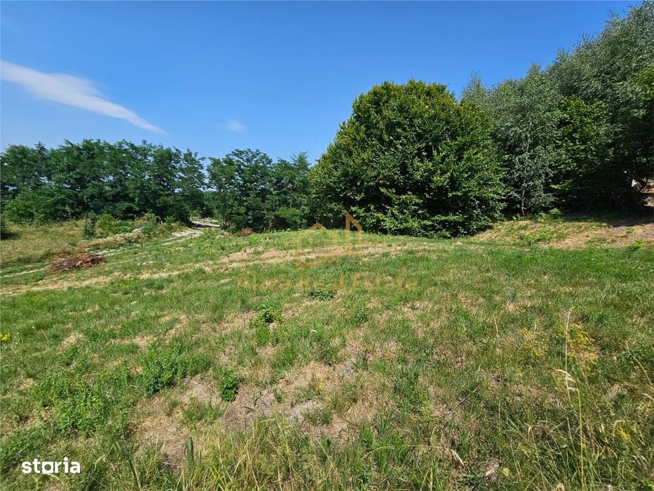 Alzza Real Estate – Teren intravilan de vanzare in Salicea, Cluj – 117