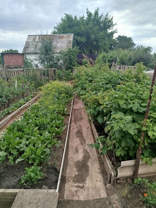 Продам дачу в д/о Оптимист