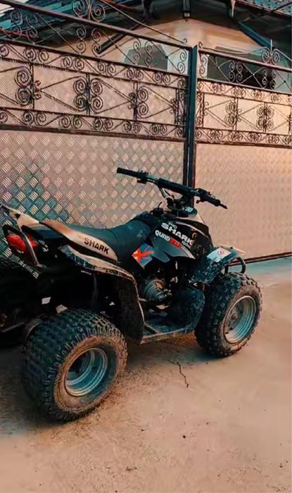Atv 100 2t Pro Shark QUADZILLA