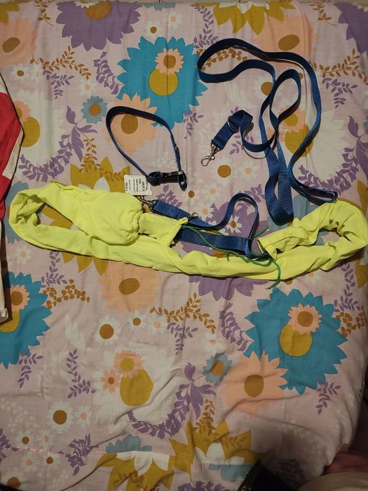 Pachet din 2 lese,din care una fluorescentă pentru noapte +zgardă