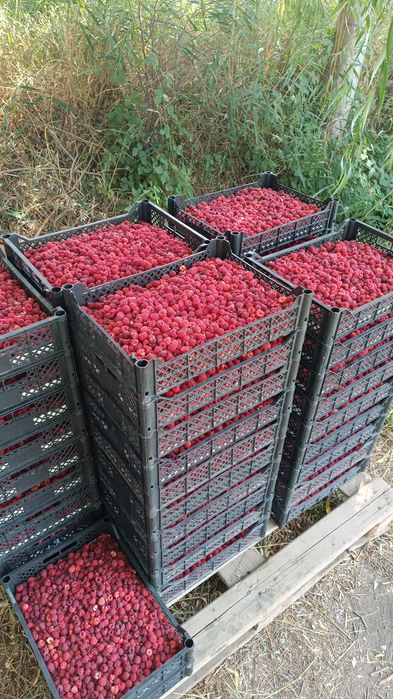 Продам Землю кха