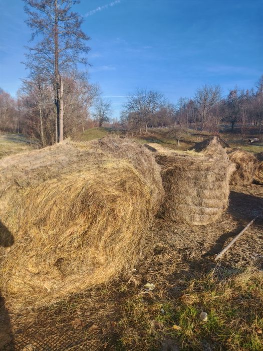 Baloti FAN 2025 ofer transport la cerere 160x120