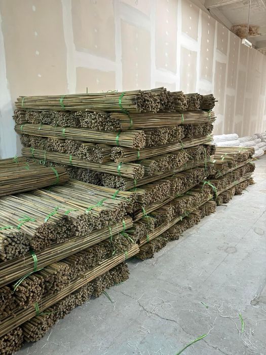 Колчета за укрепване на домати от БАМБУК естествени НА ПРОМОЦИЯ!