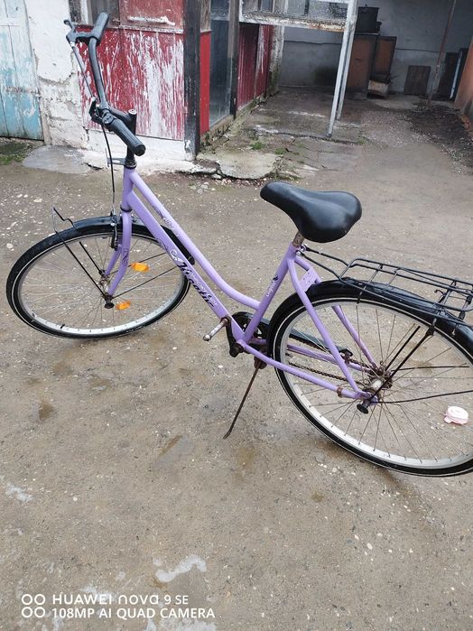 Bicicleta de dama