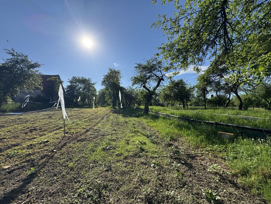 Teren intravilan 3000 mp – CENTRU Budila