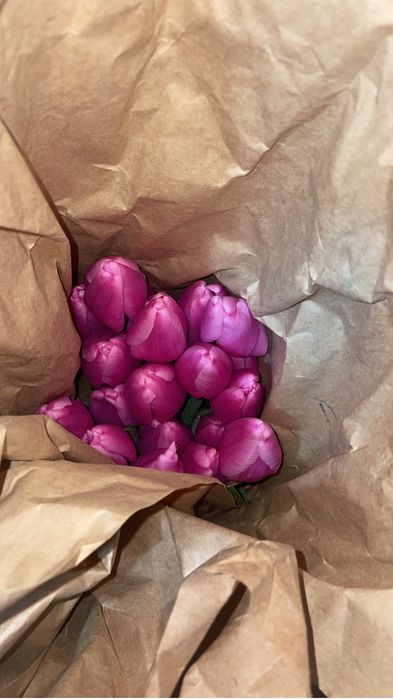 Самые качественные тюльпаны с теплиц