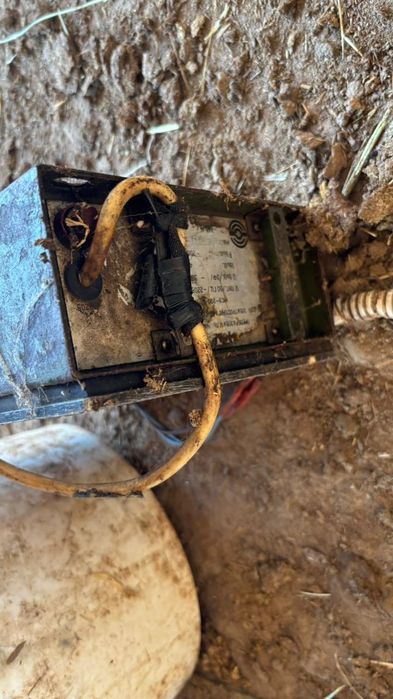 Машинка қойдын жүнін алатын