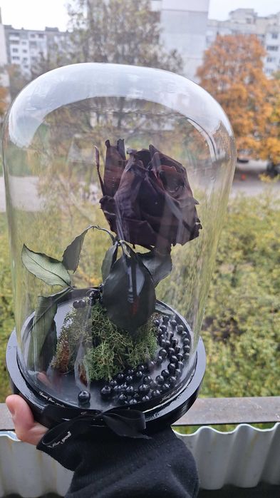 Ръчно направена вечна черна роза под стъклен похлупак