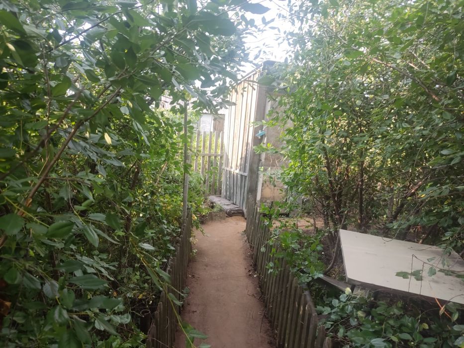 Дача садоводство!