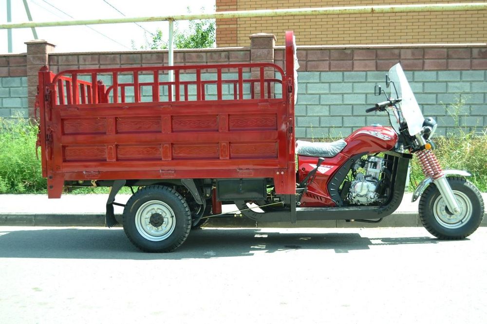 Муравей  трисикыл  новый