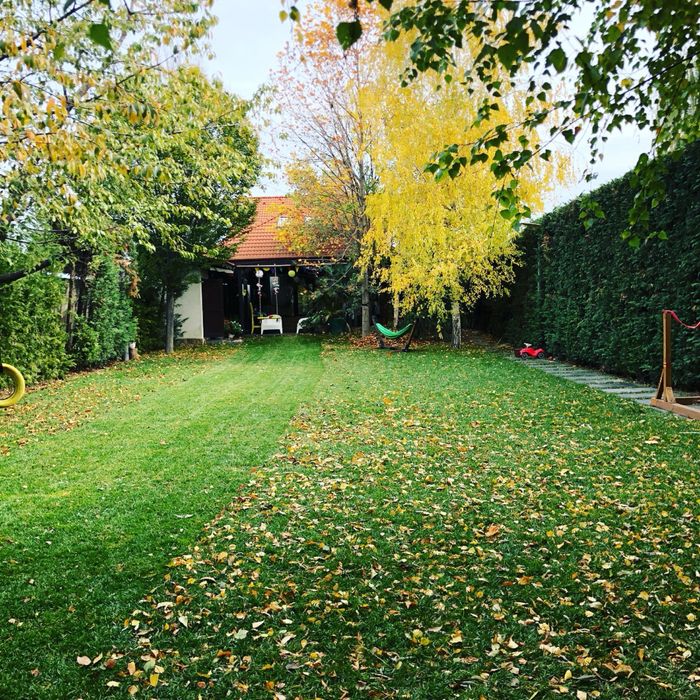 Schimb sau vand proprietate/casa si teren