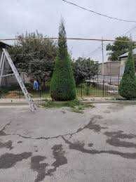 Уход за садом без лишних проблем