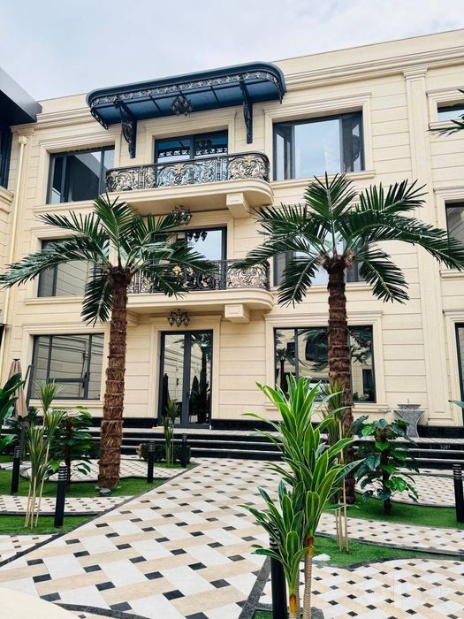 Andijon | Hovli dizayni uchun palma 3m–8m — EcoPalma skidka 33%