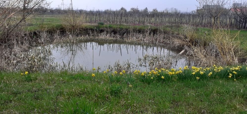 Teren intravilan de vânzare