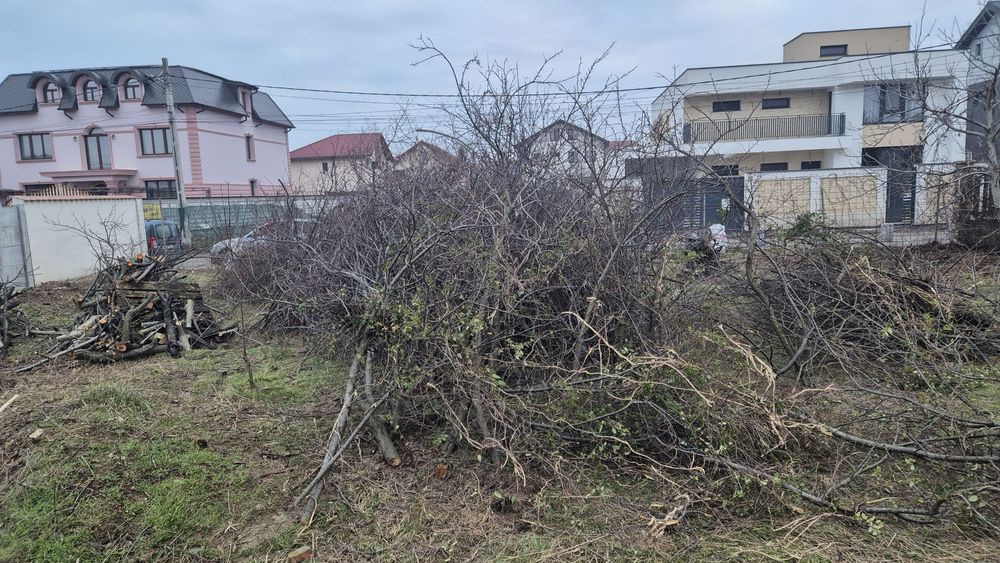 Lemne  - pentru peleti sau direct in soba