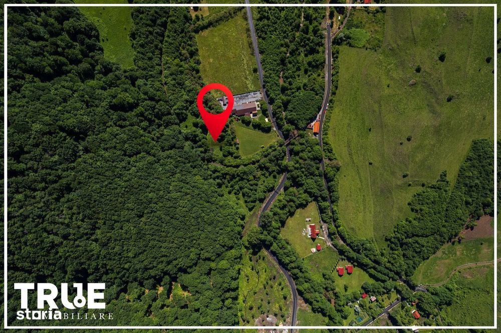 Teren intravilan 2.800 m² în Câmpu Cetății – liniște și natură