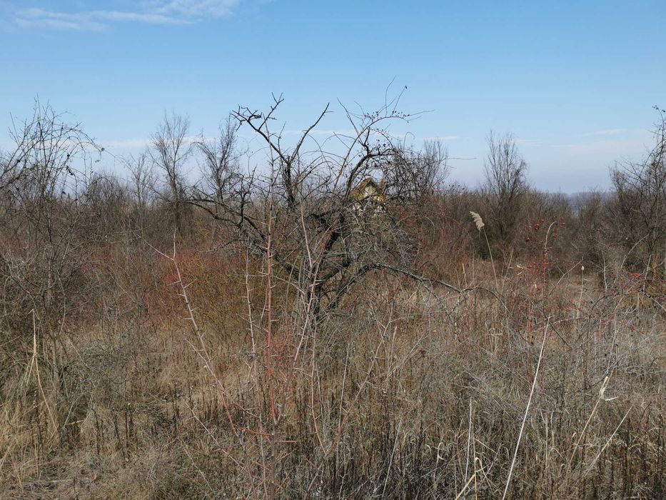 Продава се Земеделски имот в Лом -  кв.м за 2805 €/дка - Снимка #16