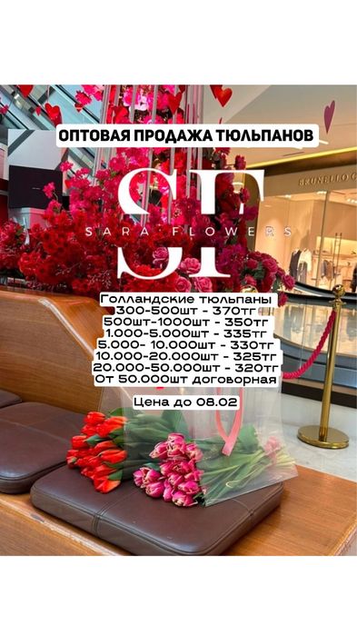 Оптовая продажа тюльпанов