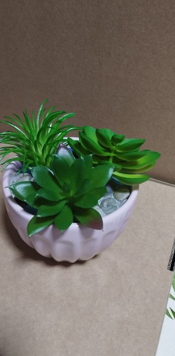 Продаю искусственные сакуленты в горшочке