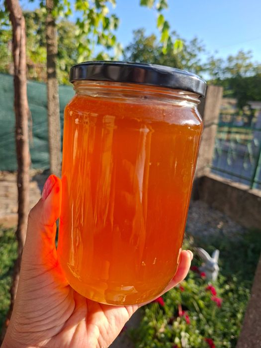 Продавам пчелен мед от кориандър
