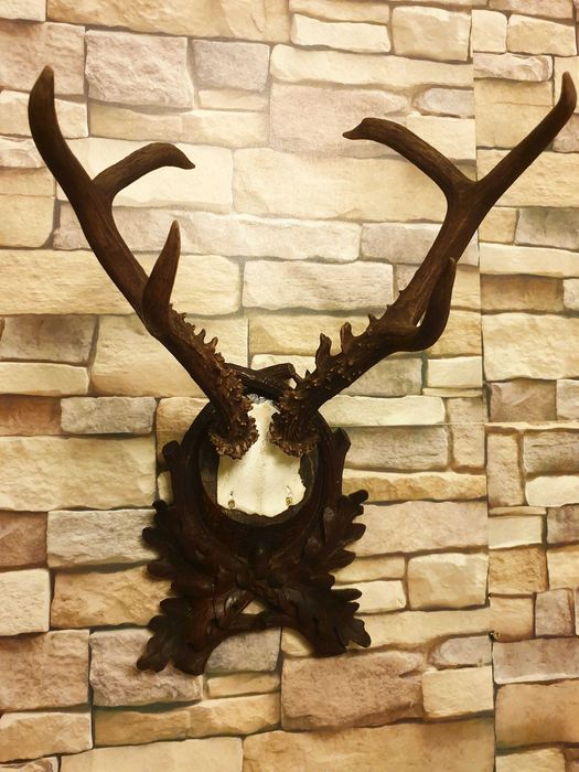 Caprior siberian ( cerb, mistret, lopatar )