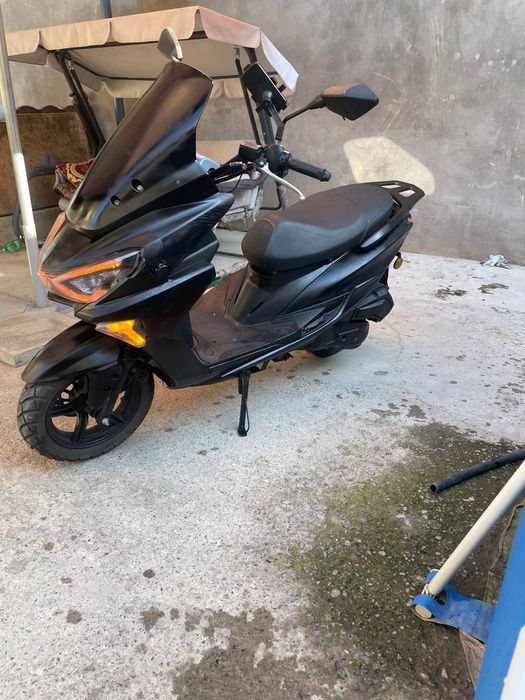 Skuter tigr sotlad