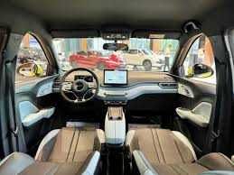 byd seagull pod zakaz