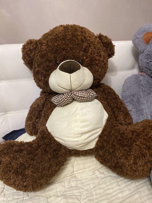 Медведи Teddy