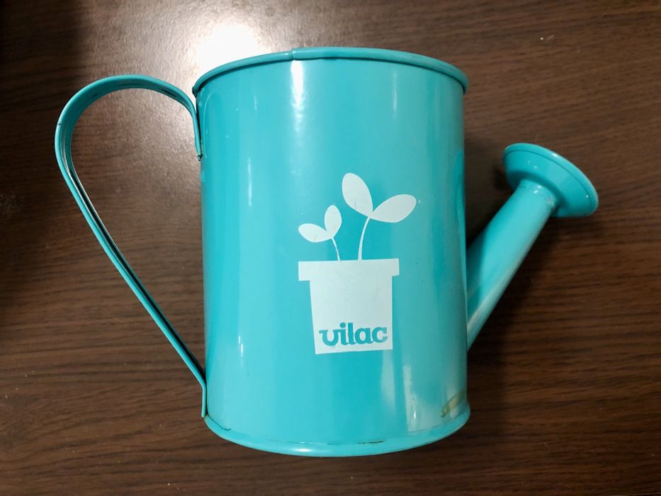 Set joaca gradinarit Vilac 3 ani+