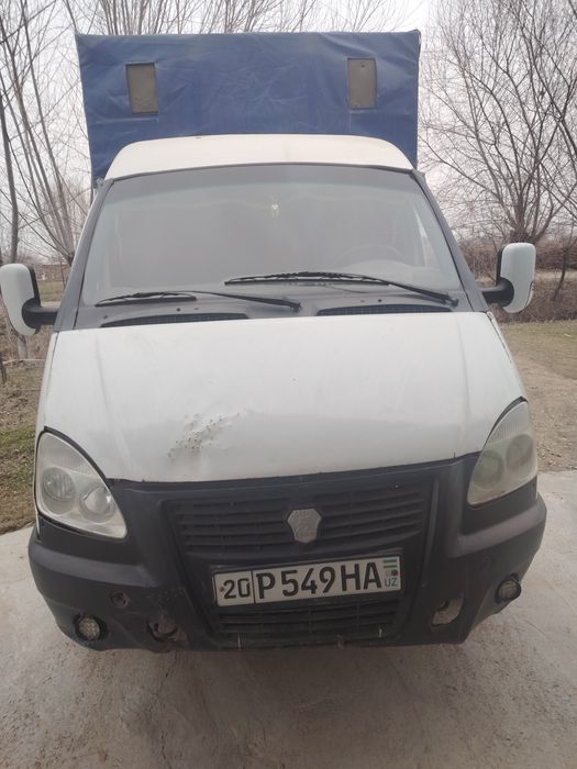 Gazel zor sastayaniya