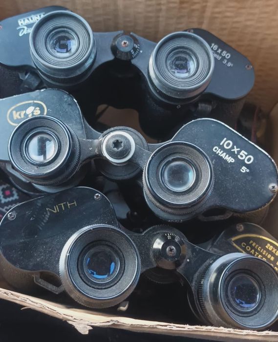 Binoclu Champ binoclu Halina