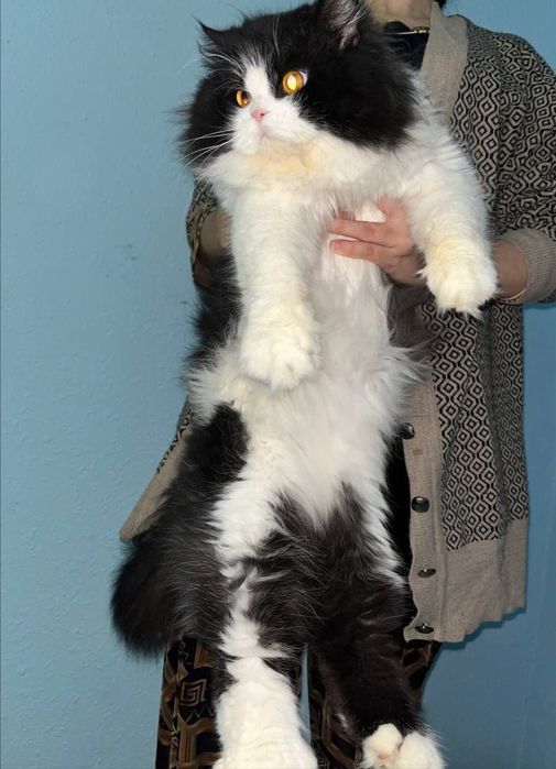 Svetlana Bushmina porno