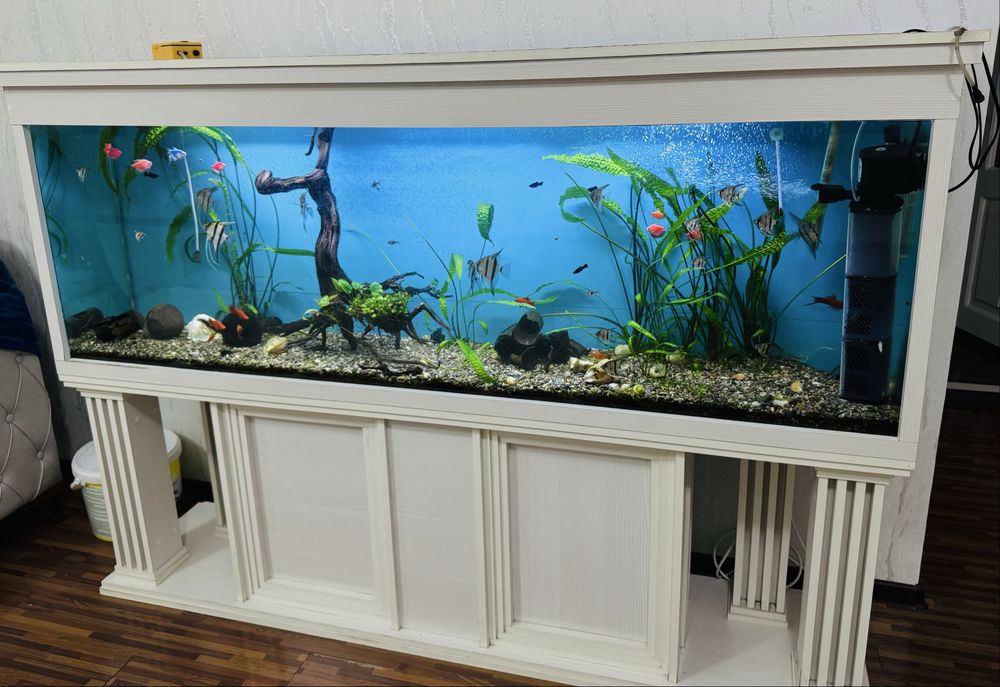 Аквариум для дом