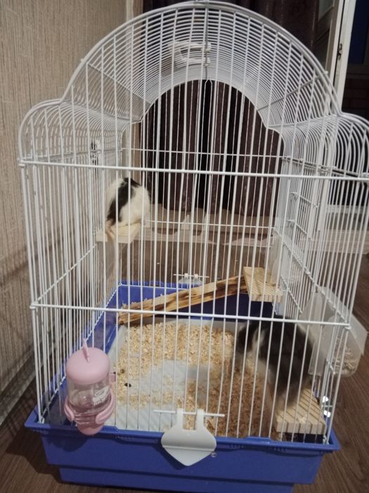 Клетка продам срочно