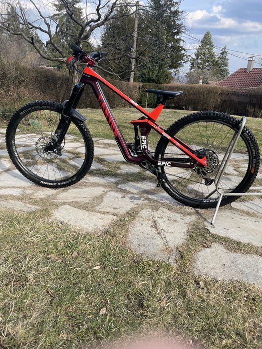 Canyon Strive 2022