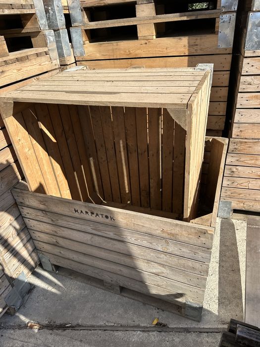 Boxpaleti lemn 100x120