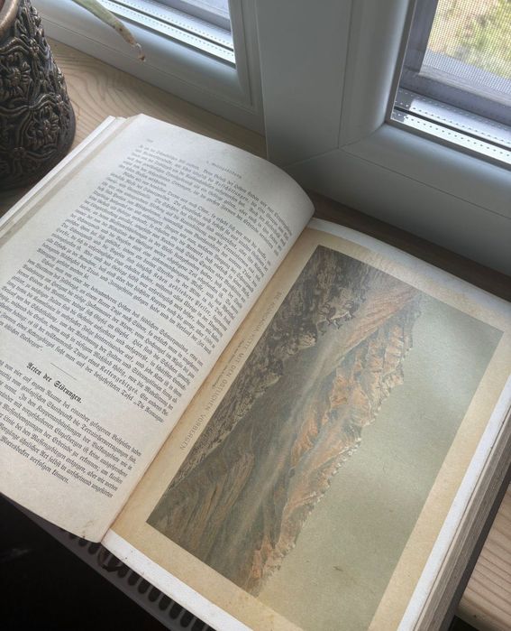 Lot cărți vechi, tablouri, mașină de scris funcțională