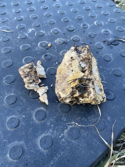 Servicii profesionale de desfundat tevi si canalizare-Timisoara